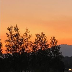 Meet your Posher, Skylar